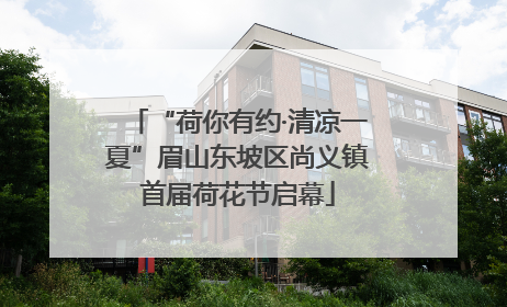 “荷你有约·清凉一夏”眉山东坡区尚义镇首届荷花节启幕