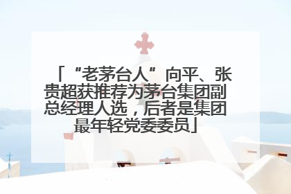 “老茅台人”向平、张贵超获推荐为茅台集团副总经理人选，后者是集团最年轻党委委员
