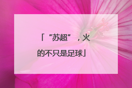 “苏超”，火的不只是足球