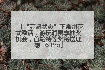 “苏超状态”下常州花式整活：游玩消费享抽奖机会，首轮特等奖将送理想 L6 Pro