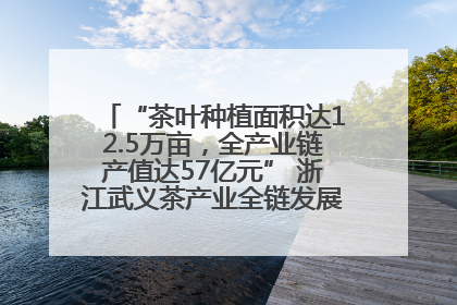 “茶叶种植面积达12.5万亩，全产业链产值达57亿元” 浙江武义茶产业全链发展“加速度”