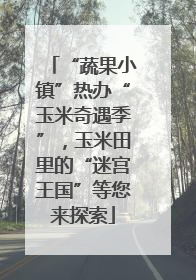 “蔬果小镇”热办“玉米奇遇季”，玉米田里的“迷宫王国”等您来探索