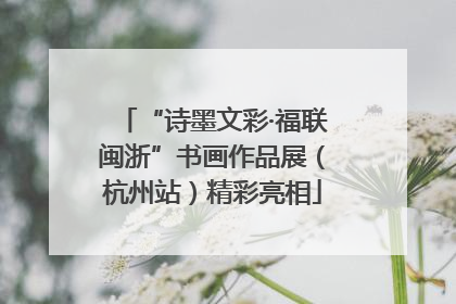 “诗墨文彩·福联闽浙”书画作品展（杭州站）精彩亮相