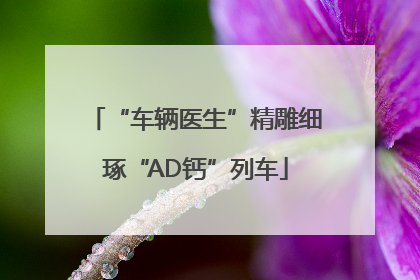 “车辆医生”精雕细琢“AD钙”列车