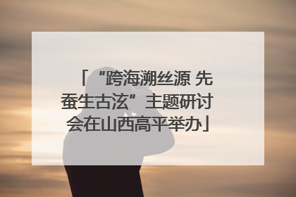 “跨海溯丝源 先蚕生古泫”主题研讨会在山西高平举办