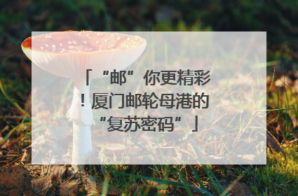 “邮”你更精彩！厦门邮轮母港的“复苏密码”