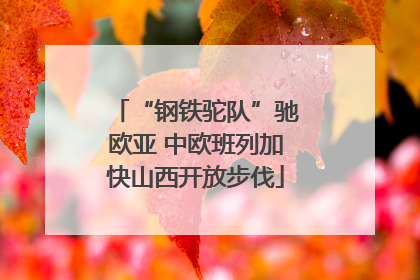 “钢铁驼队”驰欧亚 中欧班列加快山西开放步伐