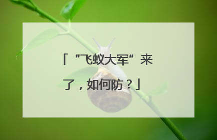 “飞蚁大军”来了，如何防？