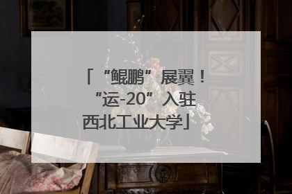 “鲲鹏”展翼！“运-20”入驻西北工业大学