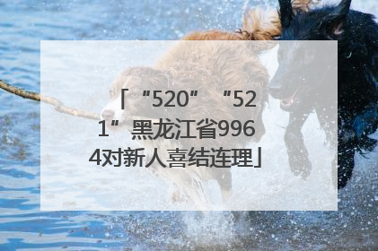 “520”“521”黑龙江省9964对新人喜结连理