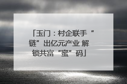 玉门：村企联手“链”出亿元产业 解锁共富“蜜”码