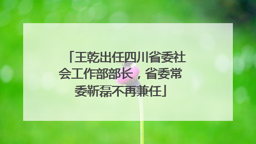 王乾出任四川省委社会工作部部长，省委常委靳磊不再兼任