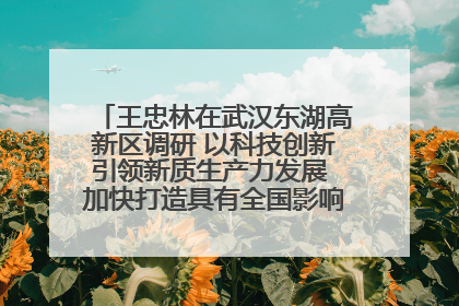 王忠林在武汉东湖高新区调研 以科技创新引领新质生产力发展 加快打造具有全国影响力的科技创新高地