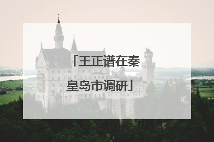 王正谱在秦皇岛市调研