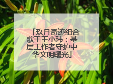 玖月奇迹组合歌手王小玮：基层工作者守护中华文明曙光