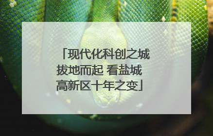 现代化科创之城拔地而起 看盐城高新区十年之变