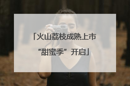 火山荔枝成熟上市 “甜蜜季”开启