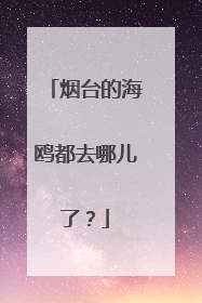 烟台的海鸥都去哪儿了？