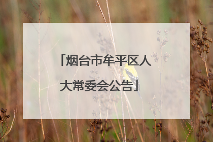 烟台市牟平区人大常委会公告