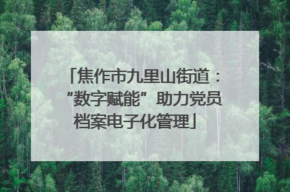 焦作市九里山街道：“数字赋能”助力党员档案电子化管理