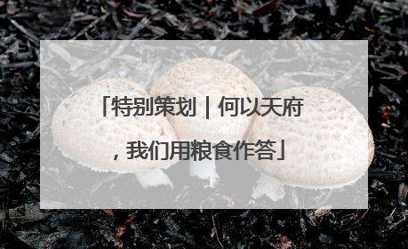 特别策划｜何以天府，我们用粮食作答