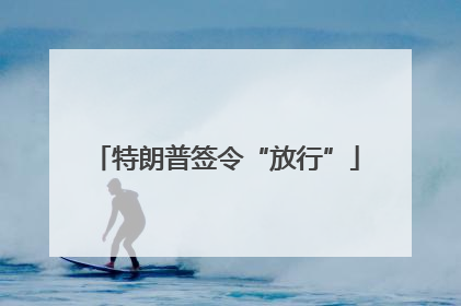 特朗普签令“放行”