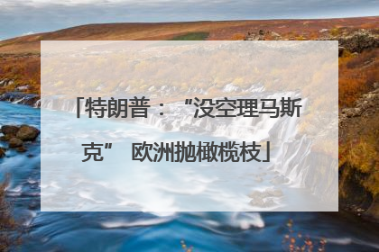 特朗普：“没空理马斯克” 欧洲抛橄榄枝