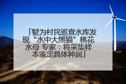 犍为村民巡查水库发现“水中大熊猫”桃花水母 专家：将采集样本鉴定具体种属