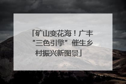 矿山变花海！广丰“三色引擎”催生乡村振兴新图景