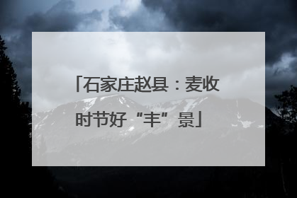石家庄赵县：麦收时节好“丰”景