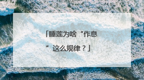 睡莲为啥“作息”这么规律？