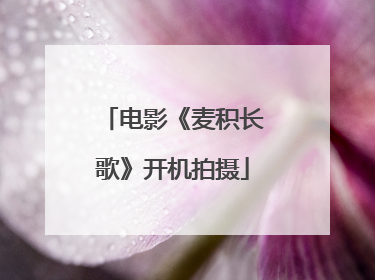 电影《麦积长歌》开机拍摄