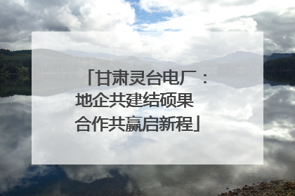 甘肃灵台电厂：地企共建结硕果 合作共赢启新程