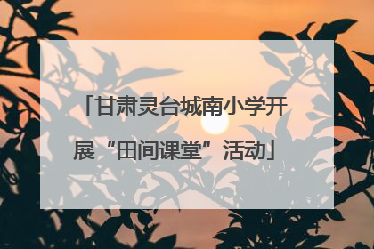 甘肃灵台城南小学开展“田间课堂”活动
