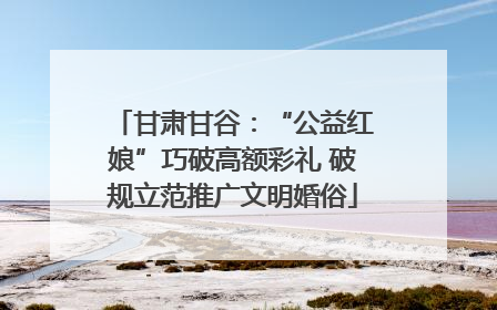 甘肃甘谷：“公益红娘”巧破高额彩礼 破规立范推广文明婚俗