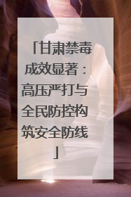 甘肃禁毒成效显著：高压严打与全民防控构筑安全防线