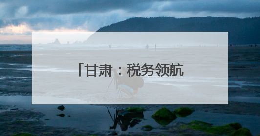 甘肃：税务领航 助企合规前行