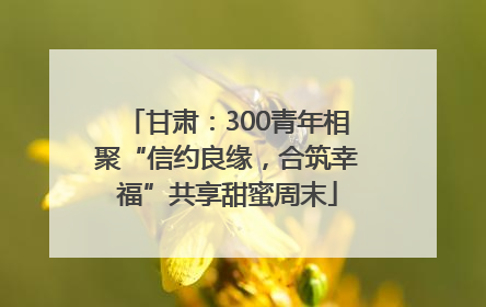 甘肃：300青年相聚“信约良缘，合筑幸福”共享甜蜜周末