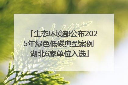 生态环境部公布2025年绿色低碳典型案例 湖北6家单位入选