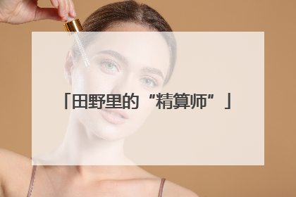 田野里的“精算师”