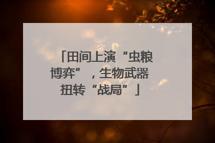 田间上演“虫粮博弈”，生物武器扭转“战局”