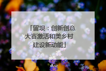 留坝：创新创意大赛激活和美乡村建设新动能