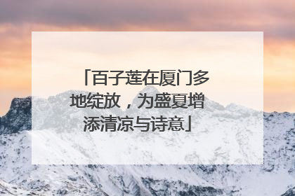 百子莲在厦门多地绽放，为盛夏增添清凉与诗意