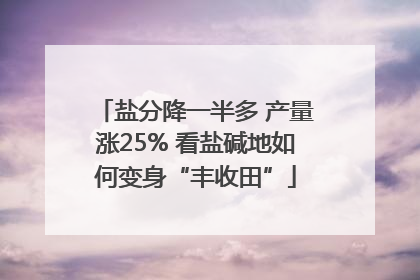 盐分降一半多 产量涨25% 看盐碱地如何变身“丰收田”