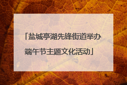 盐城亭湖先锋街道举办端午节主题文化活动