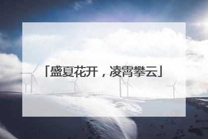盛夏花开，凌霄攀云