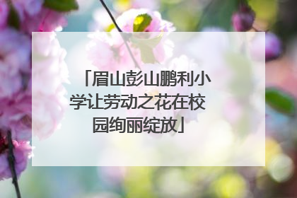 眉山彭山鹏利小学让劳动之花在校园绚丽绽放