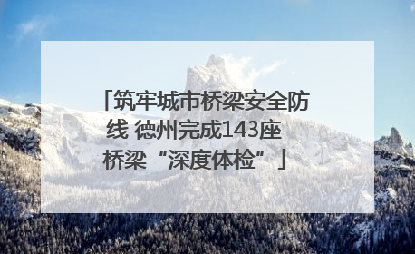 筑牢城市桥梁安全防线 德州完成143座桥梁“深度体检”