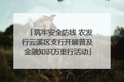 筑牢安全防线 农发行云溪区支行开展普及金融知识万里行活动