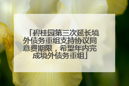 碧桂园第三次延长境外债务重组支持协议同意费期限，希望年内完成境外债务重组
